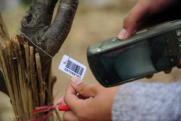 手持终端赋能园林管理，苗木科技化管理